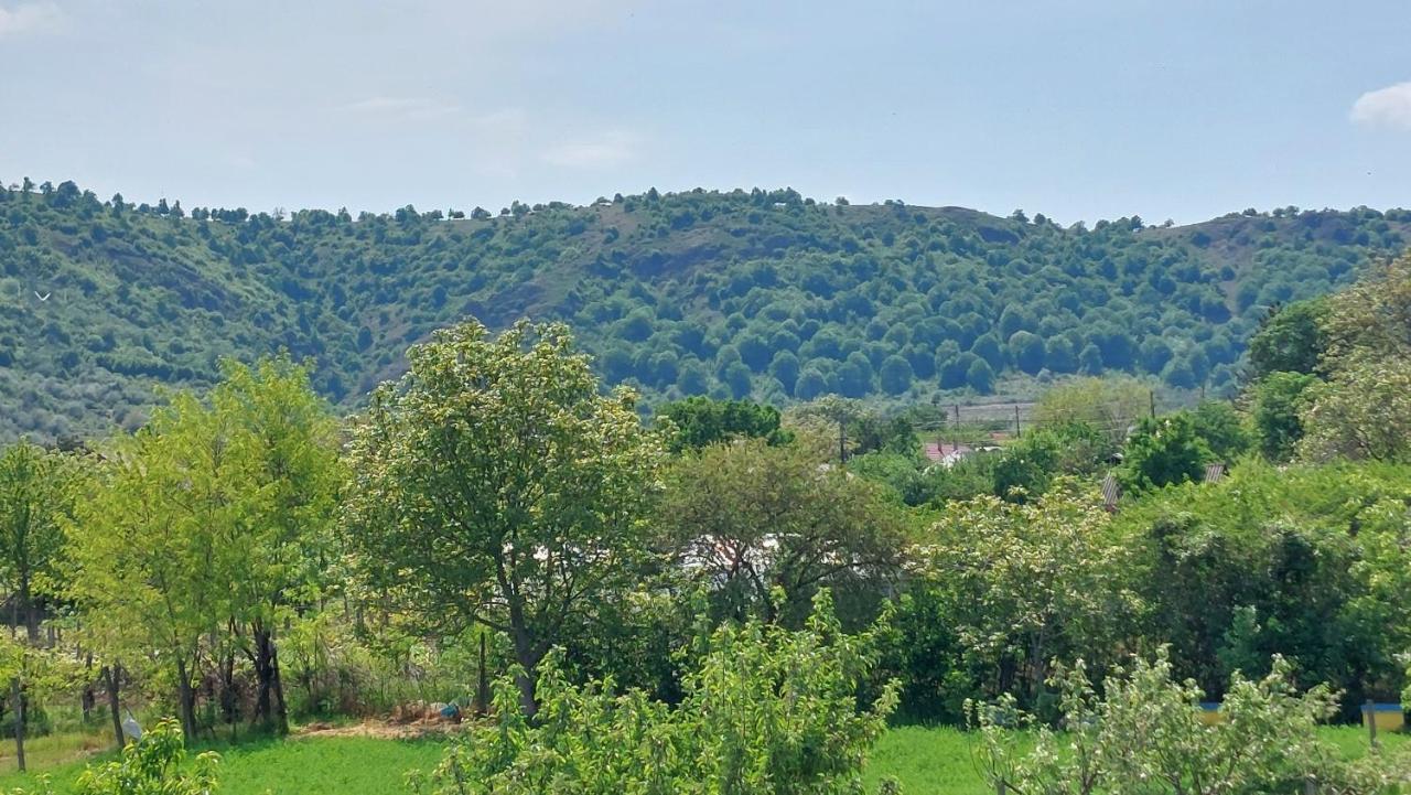 Agropensiunea Olteanu Niculitel Exterior foto