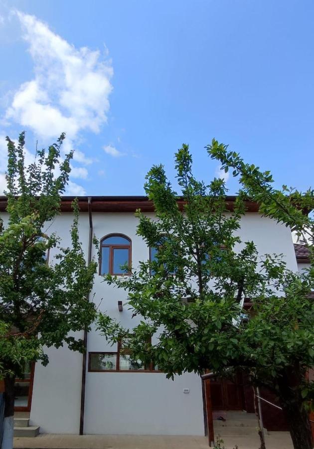 Agropensiunea Olteanu Niculitel Exterior foto