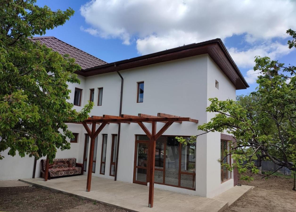 Agropensiunea Olteanu Niculitel Exterior foto