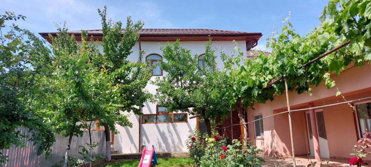Agropensiunea Olteanu Niculitel Exterior foto